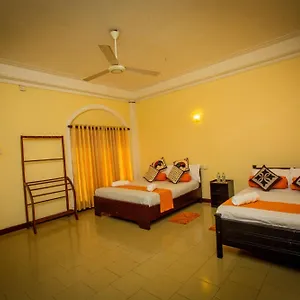 Sunbloom Kandy